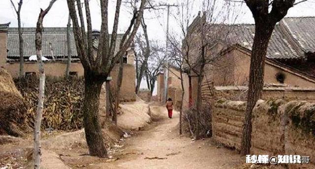 请问万能的条友，广东农村有几万块的老房子买吗