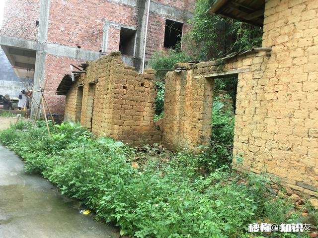 请问万能的条友，广东农村有几万块的老房子买吗