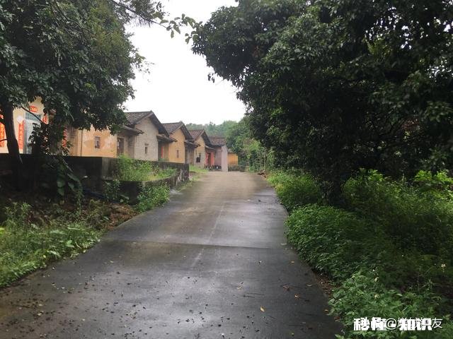 请问万能的条友，广东农村有几万块的老房子买吗