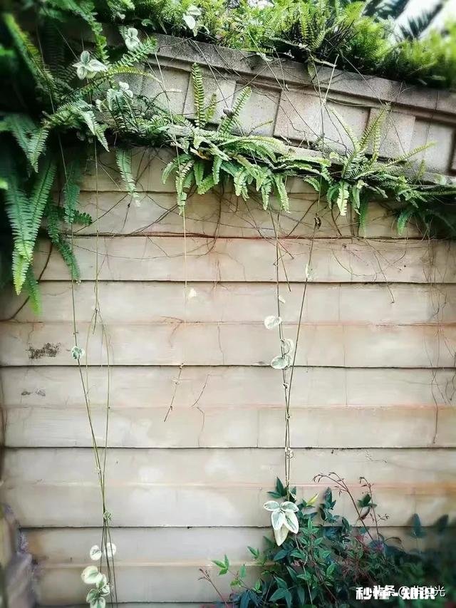 阳台在什么情况下会渗水到楼下住户