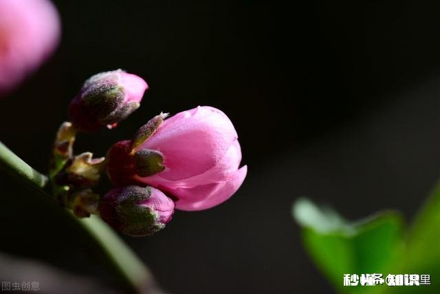 越来越多的人开始做个人自媒体了，现在开始做还能成功吗