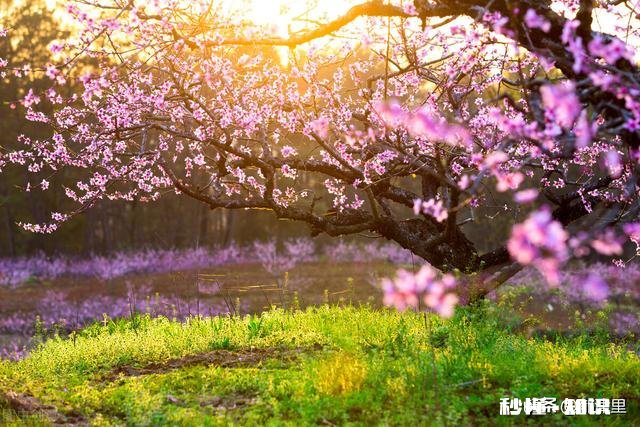 越来越多的人开始做个人自媒体了，现在开始做还能成功吗