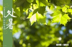 越来越多的人开始做个人自媒体了，现在开始做还能成功吗