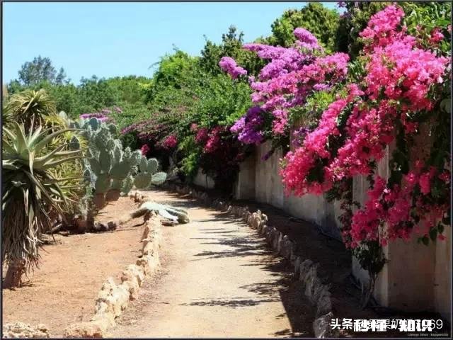 婆婆总想回老家，不想在城里帮我带娃，我该怎么办