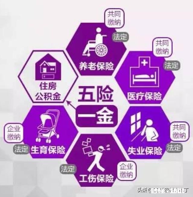 买了五险一金还需要买新农合吗五险中的医疗保险和新农合有何不同