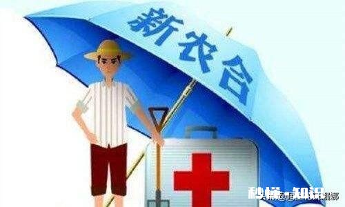 买了五险一金还需要买新农合吗五险中的医疗保险和新农合有何不同