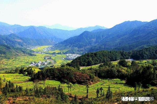 我前几年把户口迁出农村，现在家乡发现有矿山我要把户口迁回去吗