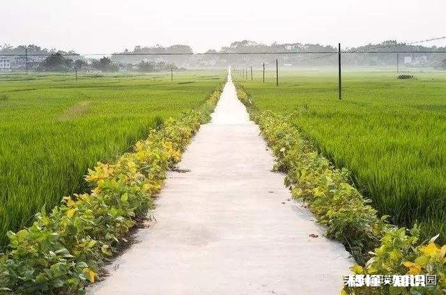 我前几年把户口迁出农村，现在家乡发现有矿山我要把户口迁回去吗