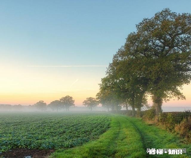 我前几年把户口迁出农村，现在家乡发现有矿山我要把户口迁回去吗