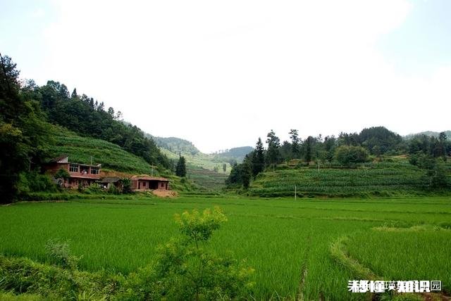 我前几年把户口迁出农村，现在家乡发现有矿山我要把户口迁回去吗