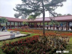 下岗职工自己交社保，为什么医报不返钱