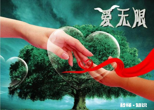 怎么看待姐弟恋问题如何在姐弟恋感情里稳定