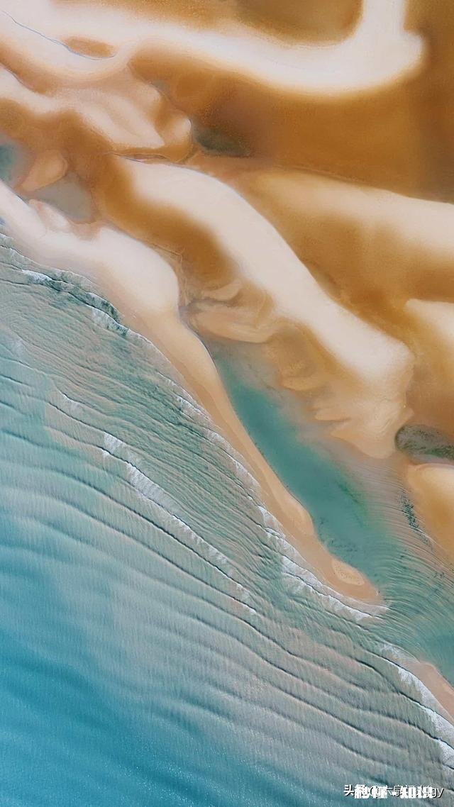 谁能说明“君子有所不为，小人无所不为”