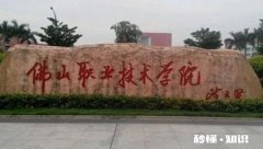 去佛山上大学是一个不错的选择吗