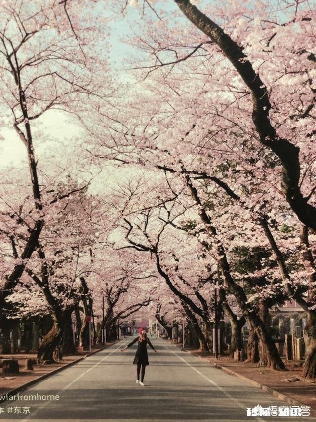 旅游自媒体人有圈子吗大家都是单打独斗吗