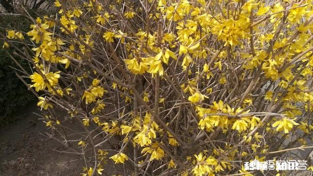 旅游自媒体人有圈子吗大家都是单打独斗吗