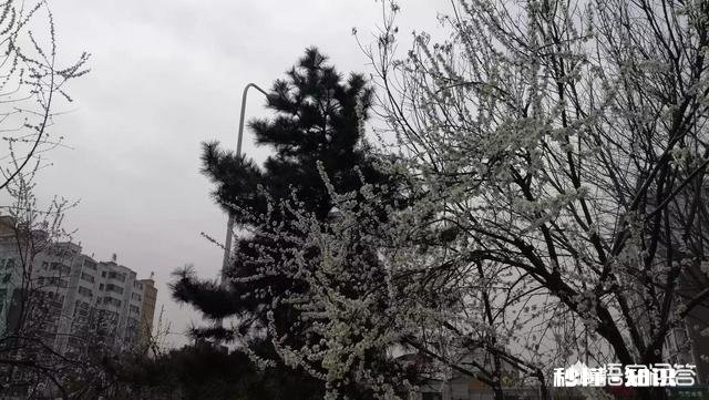 旅游自媒体人有圈子吗大家都是单打独斗吗