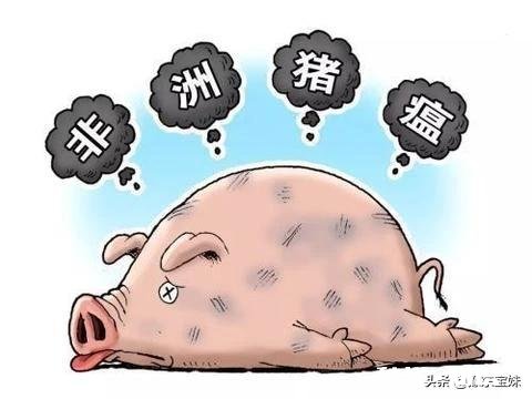 猪得猪瘟了能活多久