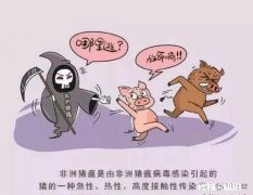 猪得猪瘟了能活多久