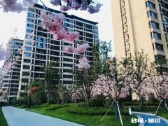 西安“人才认定”标准！通过人才认定是否拥有购房资格