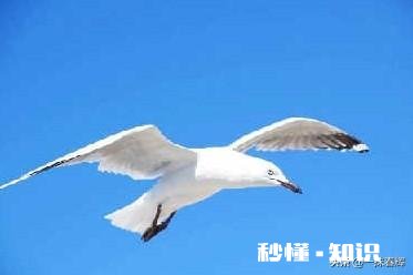 33岁一事无成,一直处于焦虑中,该怎么办