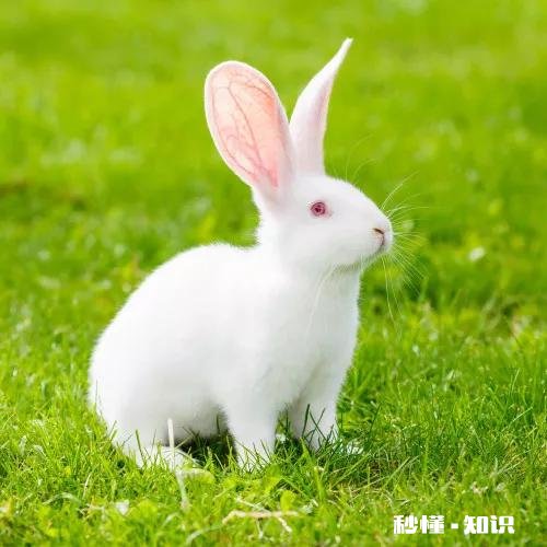 我把微信朋友圈屏蔽我的人都删除了,这样对吗