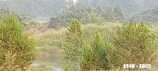 我把微信朋友圈屏蔽我的人都删除了,这样对吗