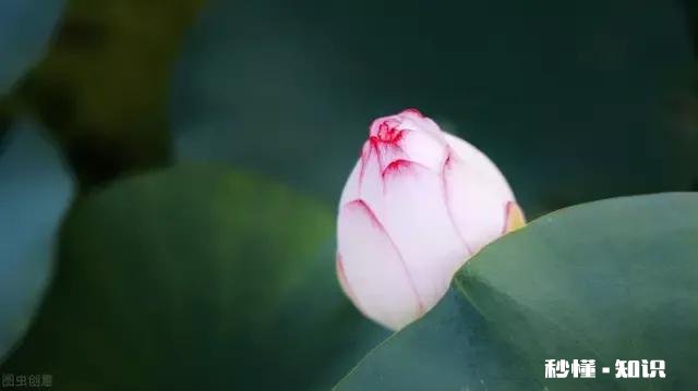 我把微信朋友圈屏蔽我的人都删除了,这样对吗