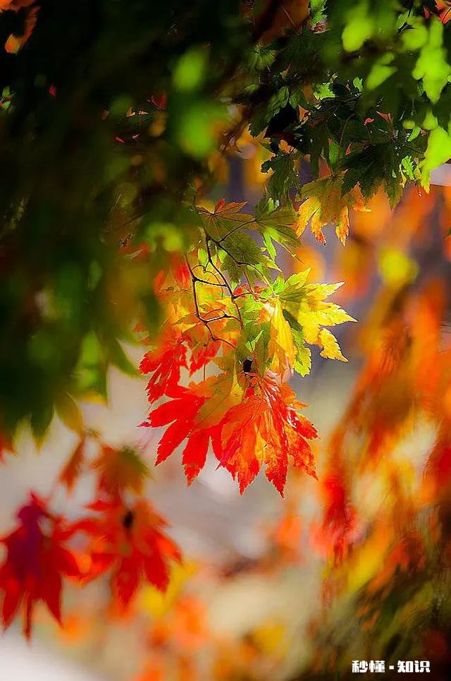 我把微信朋友圈屏蔽我的人都删除了,这样对吗