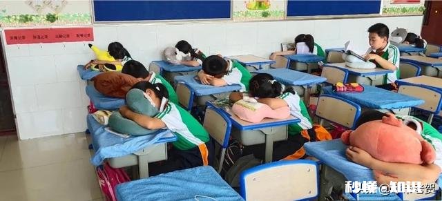 中小学生配餐制｜对于呼和浩特市而言你觉得有必要吗