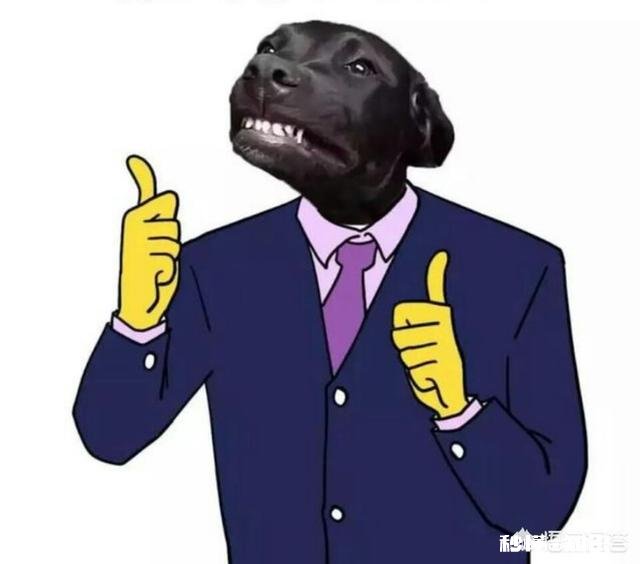 男生追女生的时候应不应该当舔狗