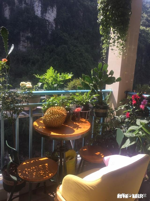 怎么拍照拍出来好看