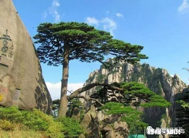 写作的乐趣是什么