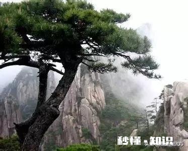 写作的乐趣是什么