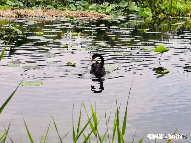 怎样构图会比较好呢如果能给几张样片参考下就更好了