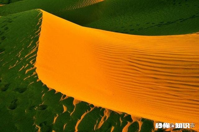 怎样构图会比较好呢如果能给几张样片参考下就更好了