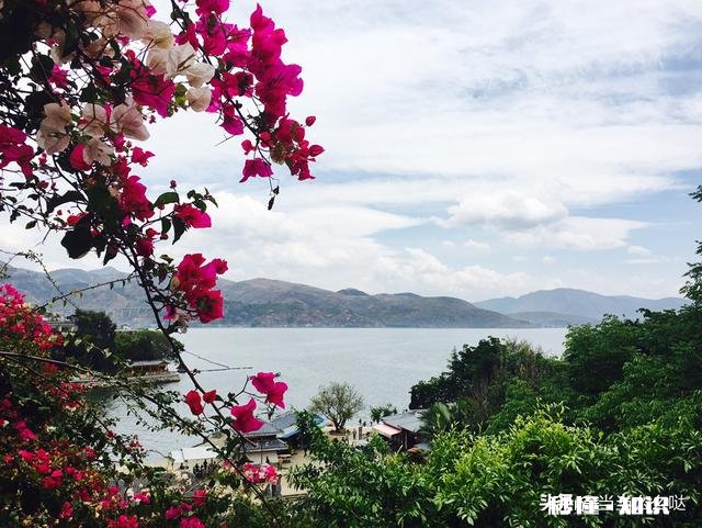 怎样构图会比较好呢如果能给几张样片参考下就更好了