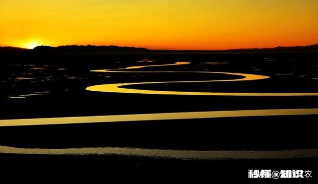 怎样构图会比较好呢如果能给几张样片参考下就更好了