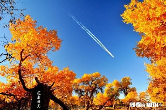 怎样构图会比较好呢如果能给几张样片参考下就更好了