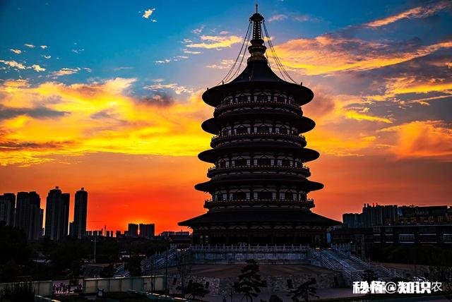 怎样构图会比较好呢如果能给几张样片参考下就更好了