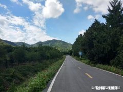 摩托车突然断电会摔倒吗