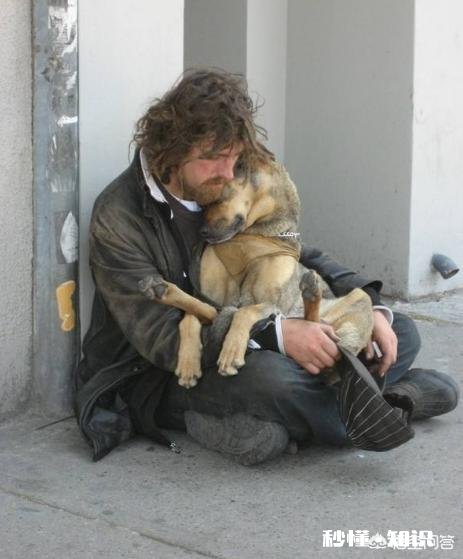 狗狗有什么样的行为，值得人们去珍惜呢