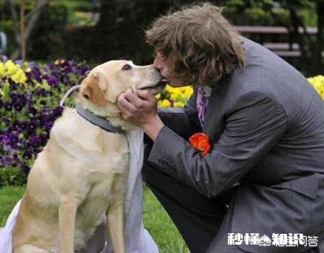 狗狗有什么样的行为，值得人们去珍惜呢