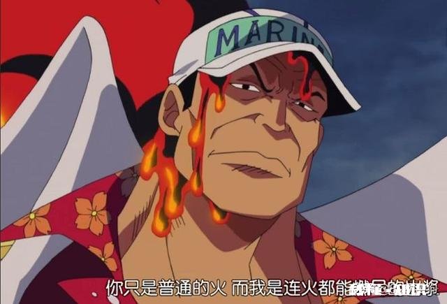 《海贼王》自然系果实你最喜欢的是哪个最强的是哪个