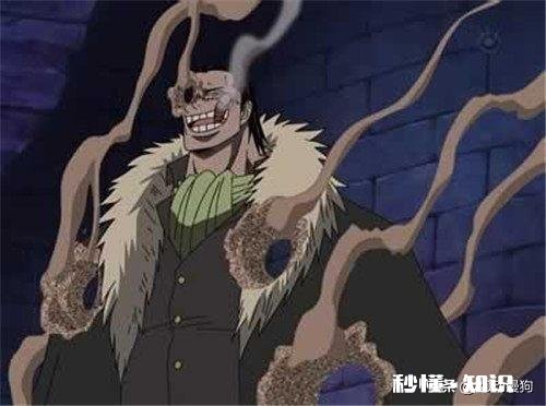 《海贼王》自然系果实你最喜欢的是哪个最强的是哪个