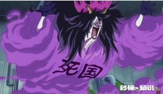 《海贼王》自然系果实你最喜欢的是哪个最强的是哪个