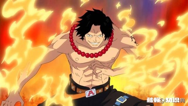 《海贼王》自然系果实你最喜欢的是哪个最强的是哪个