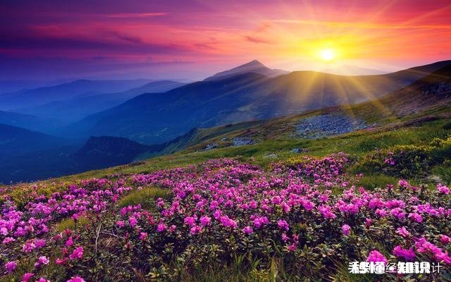 资源生产是经济问题，和政治有什么关系