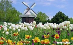 资源生产是经济问题，和政治有什么关系