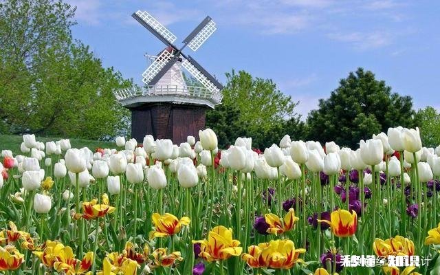 资源生产是经济问题，和政治有什么关系